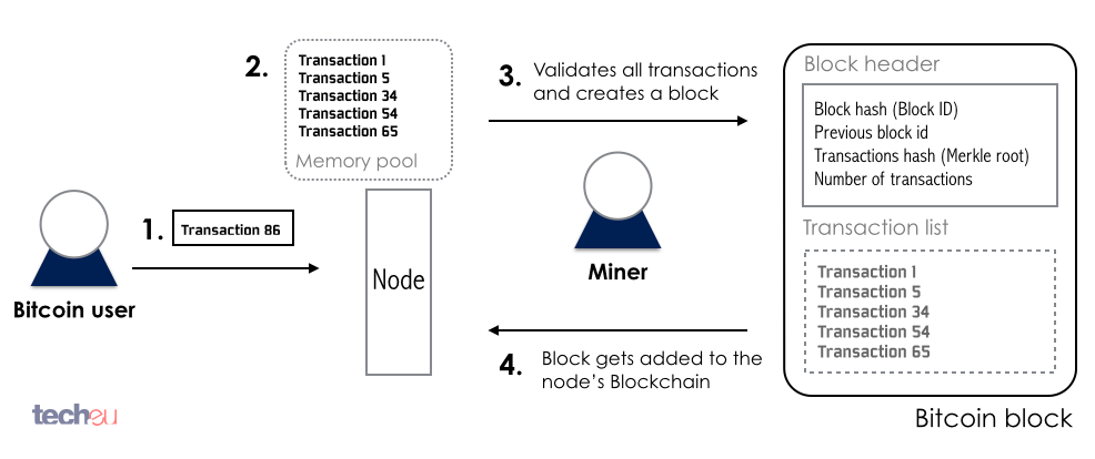 Block miner bitcoin скрипт сайта раздачи биткоина